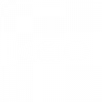 Logo KAO Germany