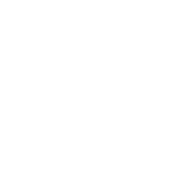 P.O.S. The Instore Experience Logo